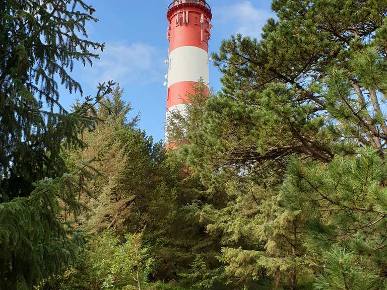 Amrumer Leuchtturm - Amrum Touristik AöR