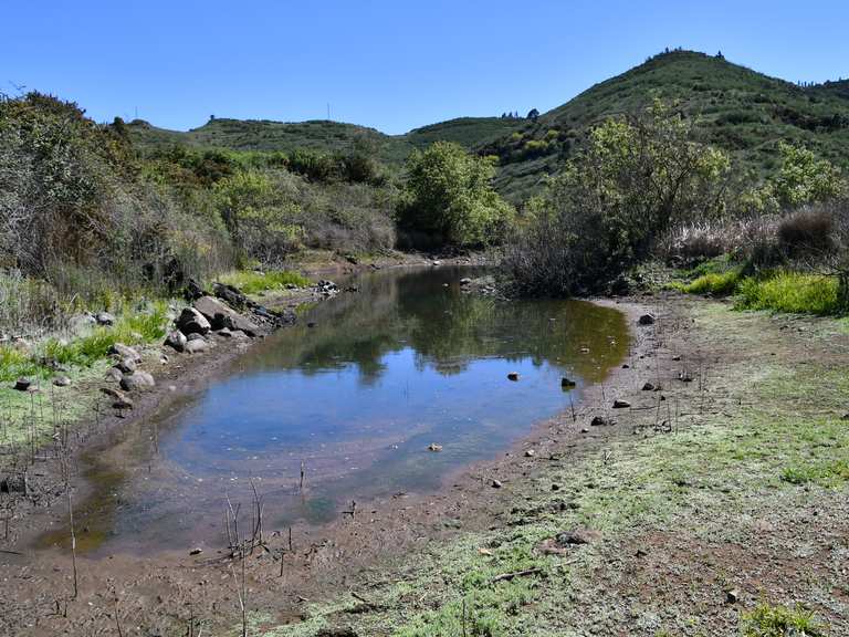 Blick zum Montaña de Taco Teidepanorama Runde von Valle de Arriba