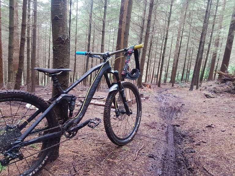 Shearwater MTB trails Mountain Bike Trails & Tracks Komoot