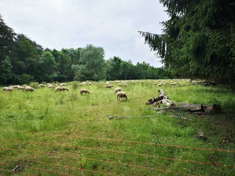 Kerstlingeröder Feld Cycle Routes and Map Komoot