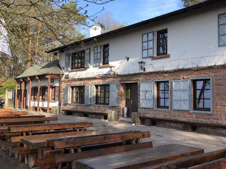 Hohe Loog Haus MountainbikeTouren und Trails komoot