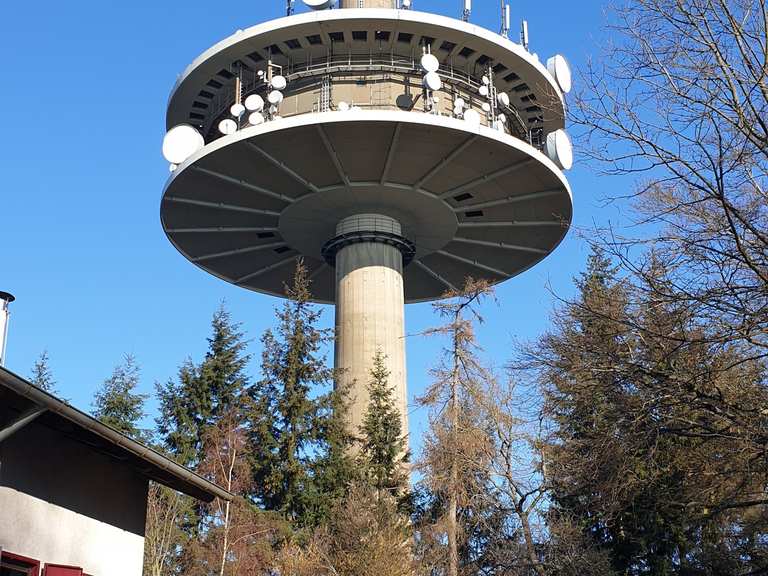 Dünsberg MountainbikeTouren und Trails komoot