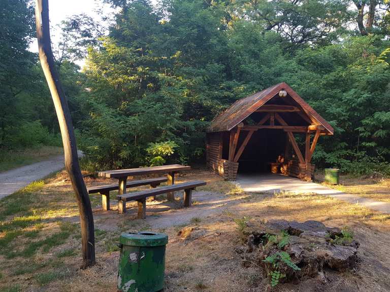 Wasserwerk Mannheim Käfertal Viernheimer Waldheide Runde von