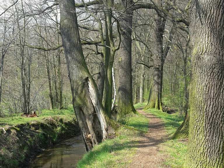 Etappe 15 Von Zoblitz nach Niesky Lausitzer Schlange Wanderung