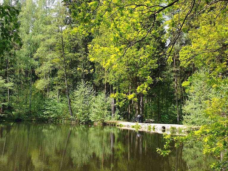 53+ Grüner Teich Darmstadt, Sowohl im sommer, als auch im winter ist
