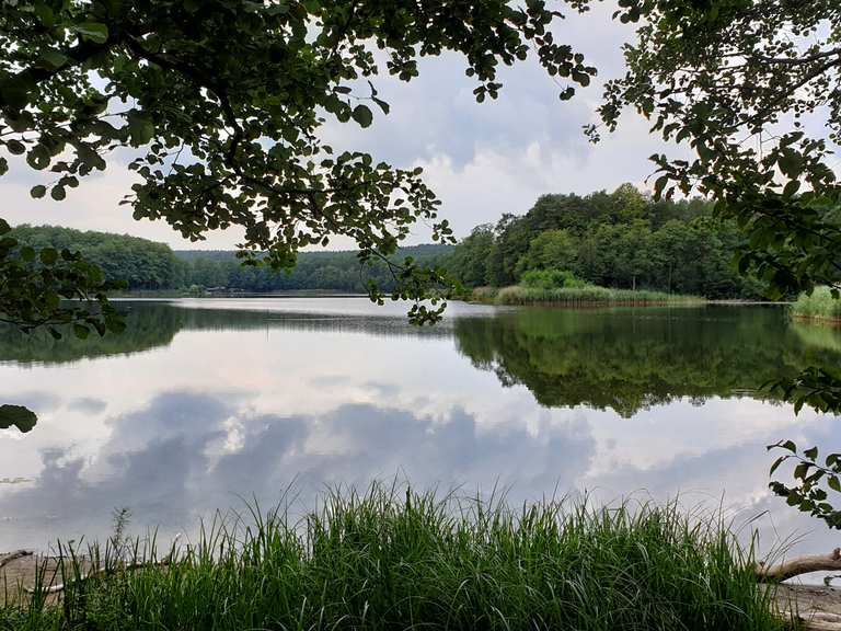 Großer Lienewitzsee Wanderungen und Rundwege komoot