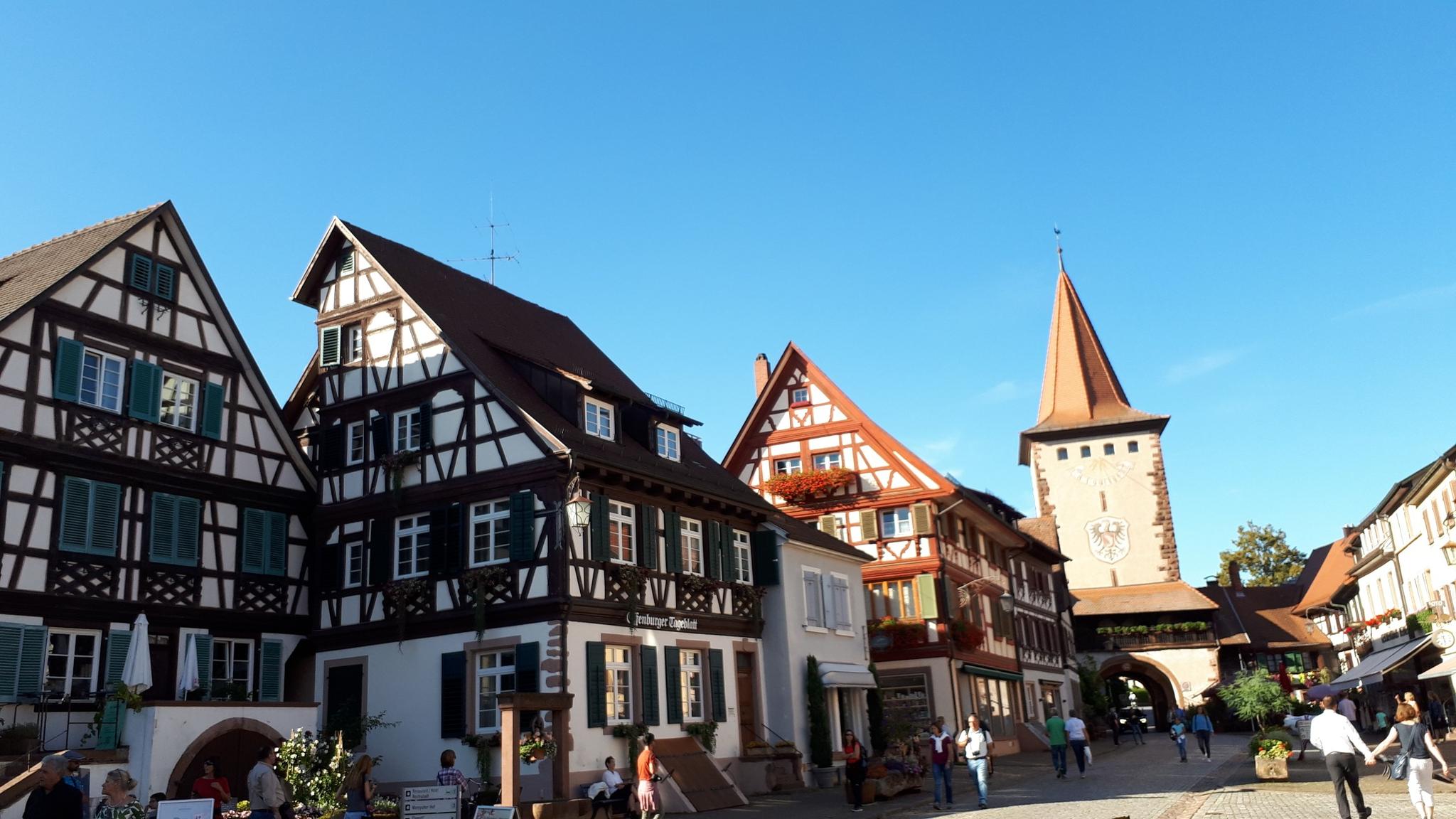 Aussicht Auf Schloss Ortenberg – Gengenbach Runde Von Haslach ...