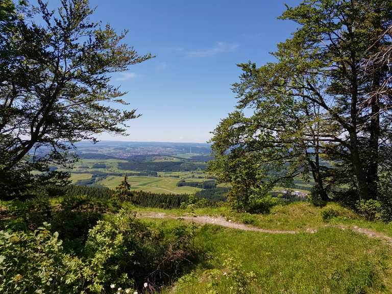 Oberhohenberg Wanderungen und Rundwege komoot