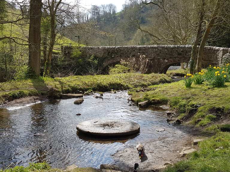 From Dovedale to Reynard's Cave | Wanderung | Komoot