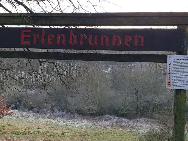 Erlenbrunnen Wanderungen und Rundwege komoot
