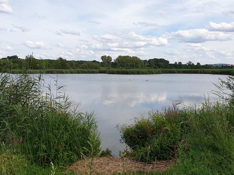 Reinheimer Teich Radtouren und Radwege komoot