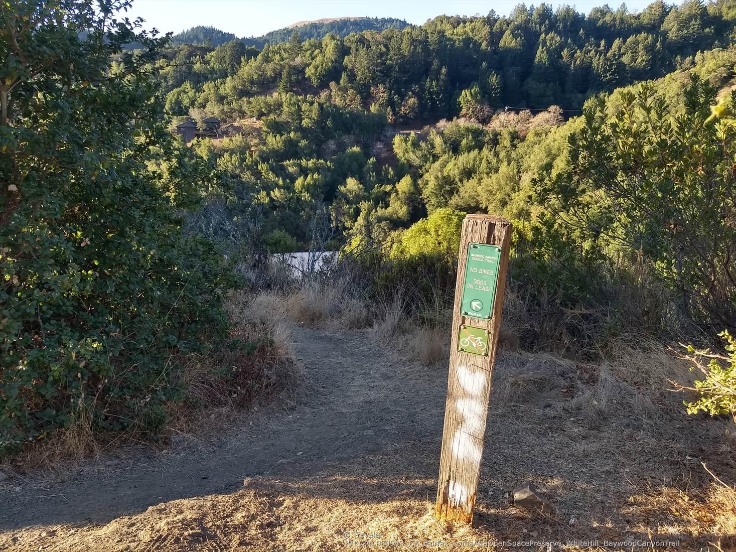 Wooden trail marker on a dirt path overlooking a green, forested valley.