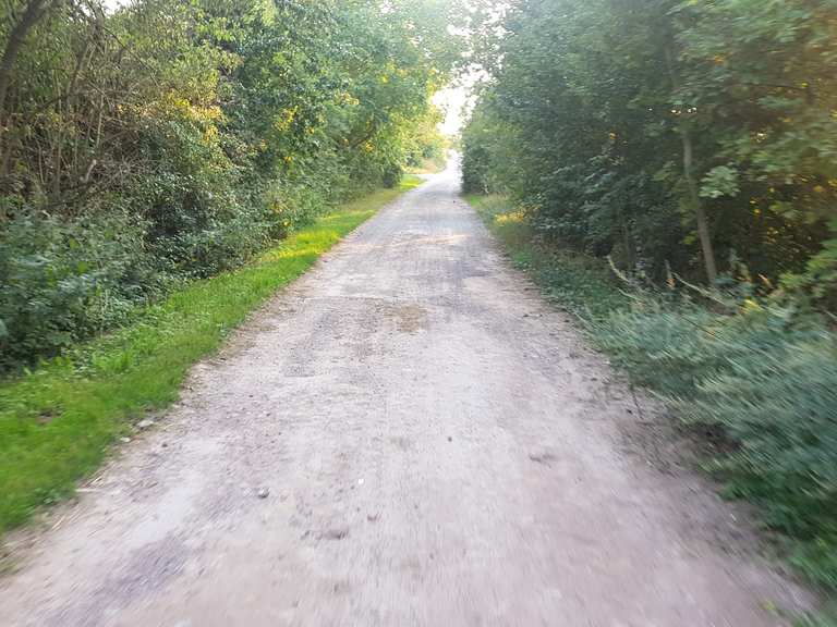 Sohlen Dodendorf Rennradfahren und Rennradtouren komoot