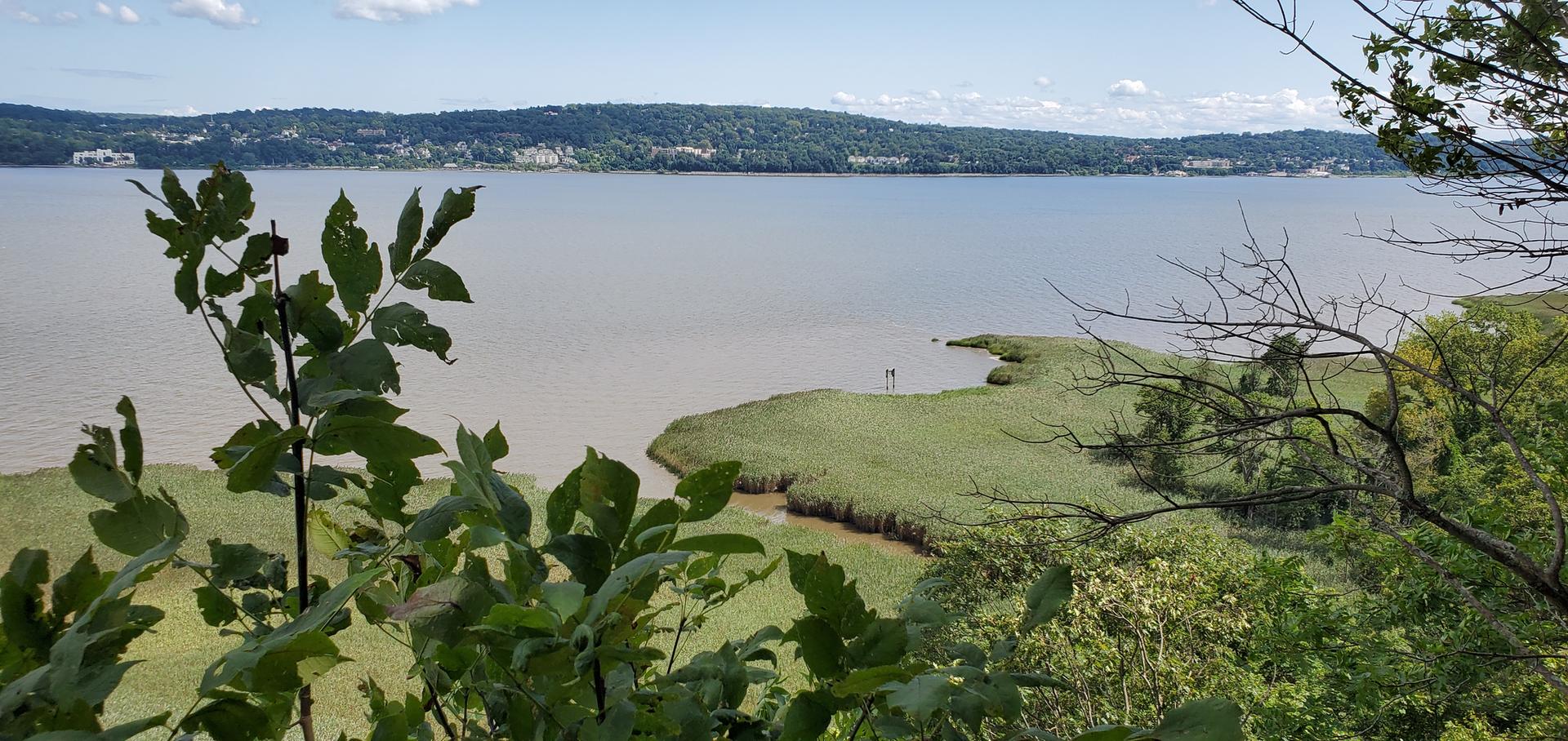 Sunny view of a wide river, green marsh, and distant forested hills.