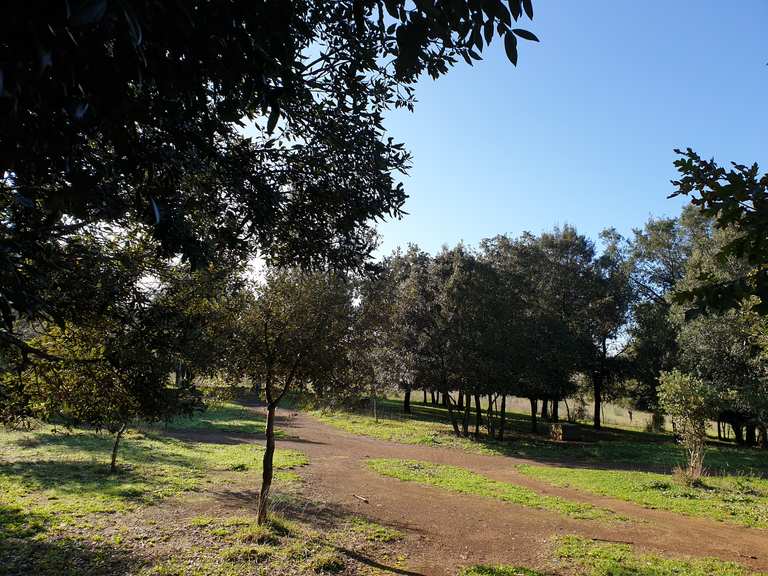 itinerari in bicicletta via appia antica