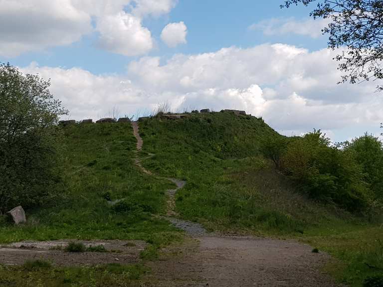 Steinberg Wanderungen und Rundwege komoot