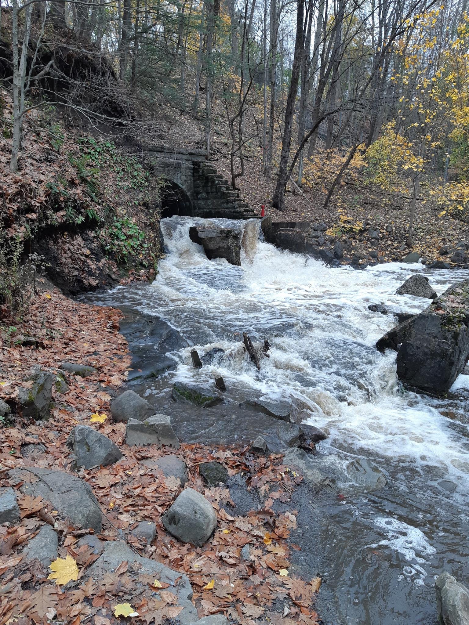 Rushing river with small waterfalls and rocks, surrounded by autumn leaves.