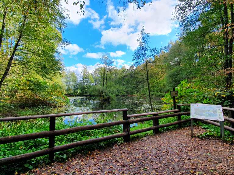Idyllisch gelegener Teich mit Bank zum Verweilen! wandelroutes en hikes