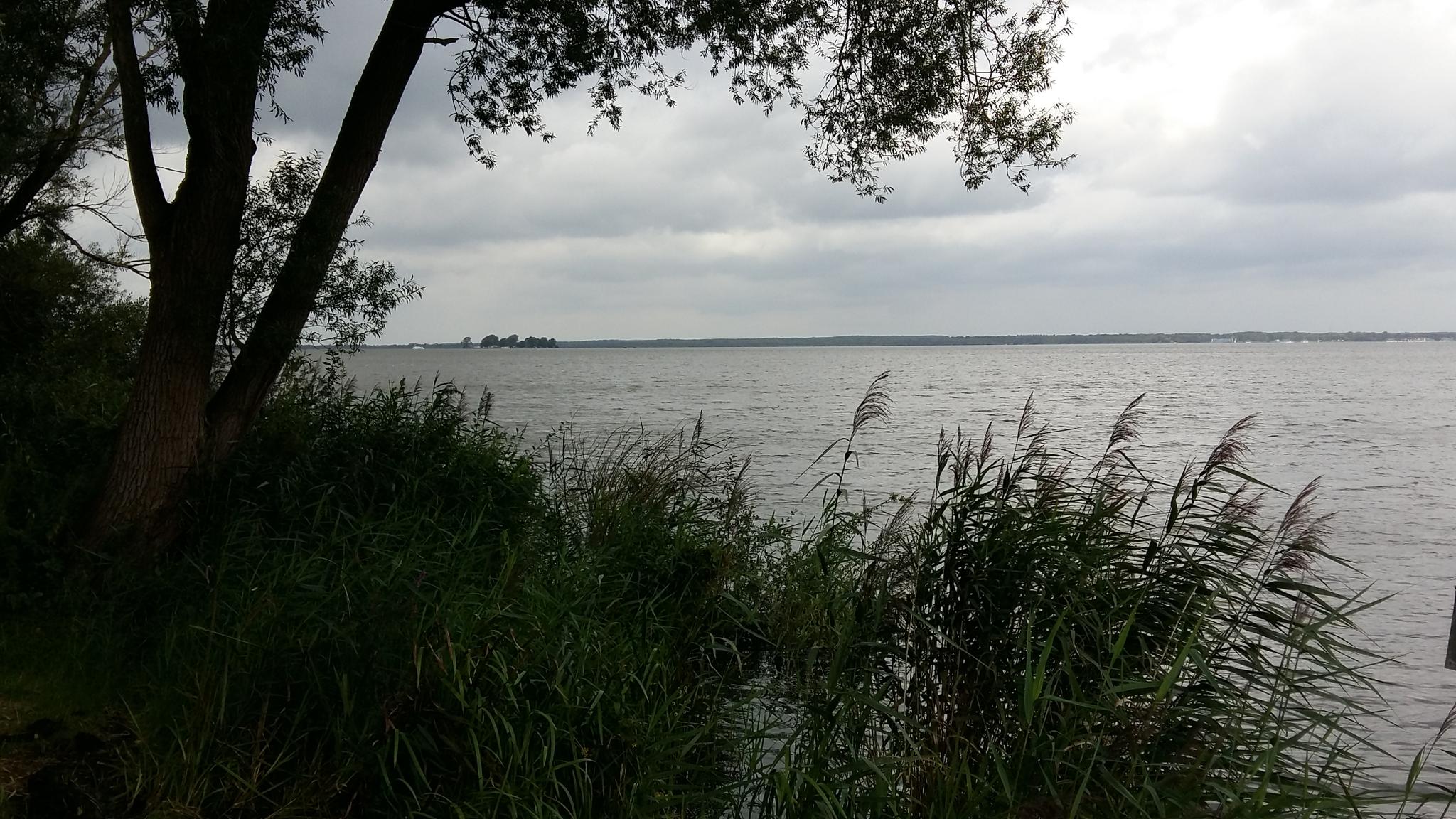 radtour steinhuder meer komoot