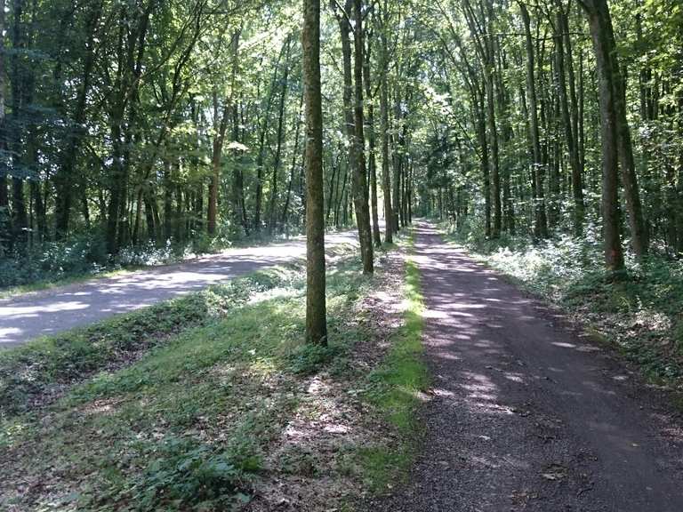 Radweg Staumauer Bostalsee Runde von Oberdorf