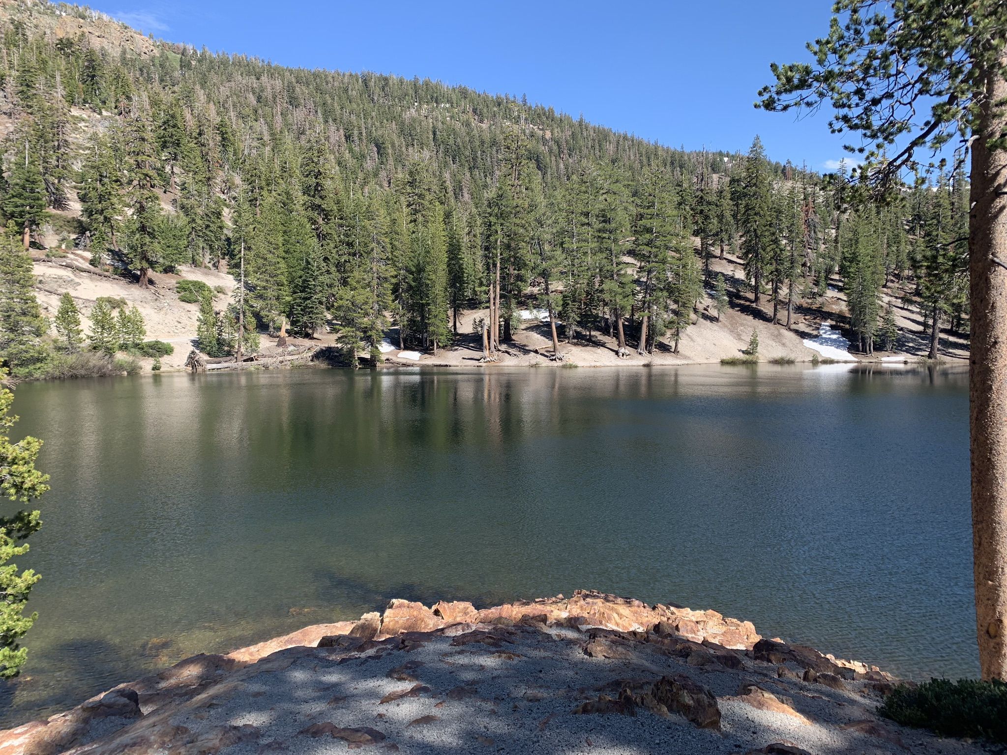 A serene mountain lake surrounded by pine-covered slopes on a sunny day. - Mammoth Mountain Resort to Devil's Postpile National Monument