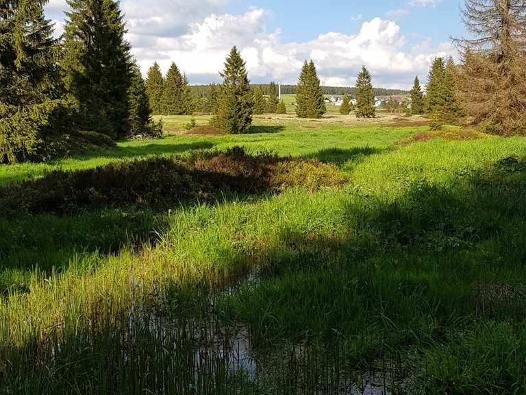 Moorlandschaft Gottesgaber Torfmoor Runde von Boží Dar Wanderung
