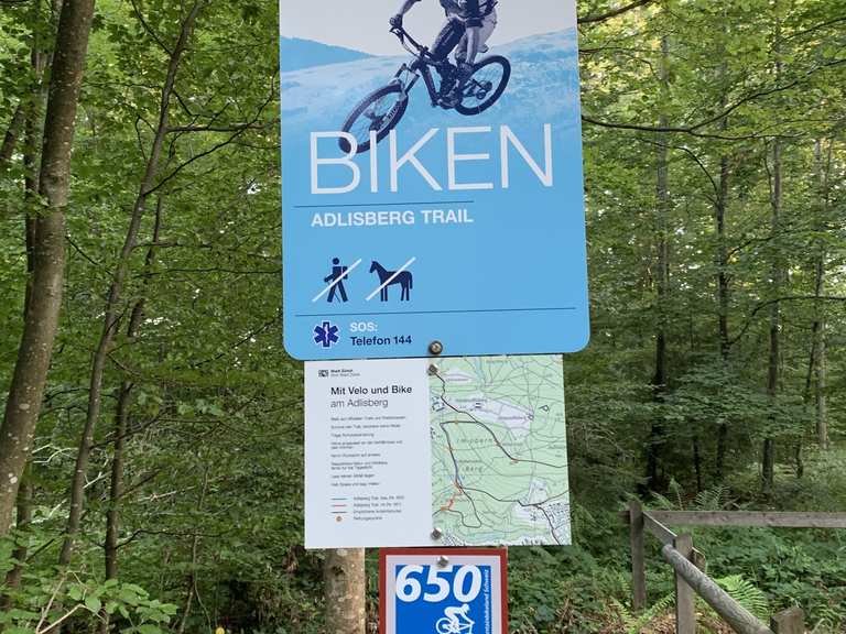 Adlisberg best sale bike trail