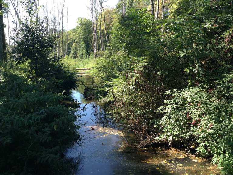 Bibersee Marthalen: Wanderungen und Rundwege | komoot