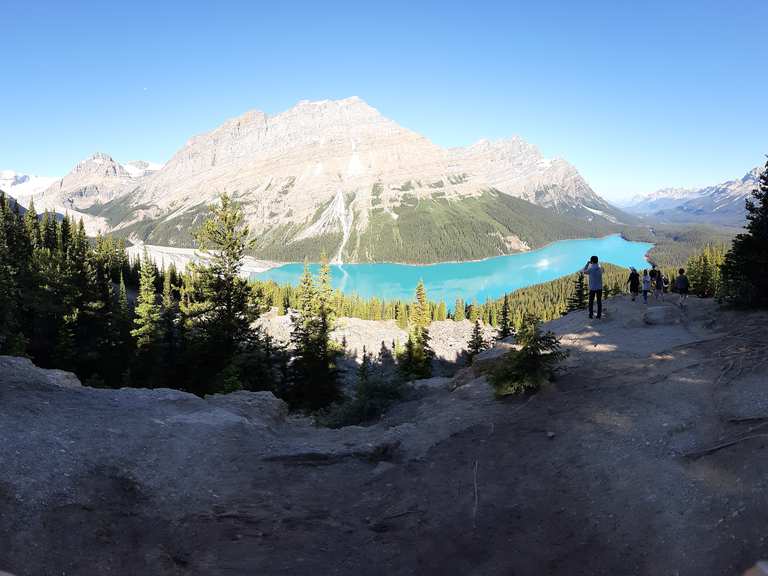 Peyto Lake Viewpoint Routes for Walking and Hiking | Komoot