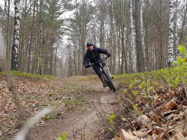 Die besten Trails in der Dresdner Heide | Komoot