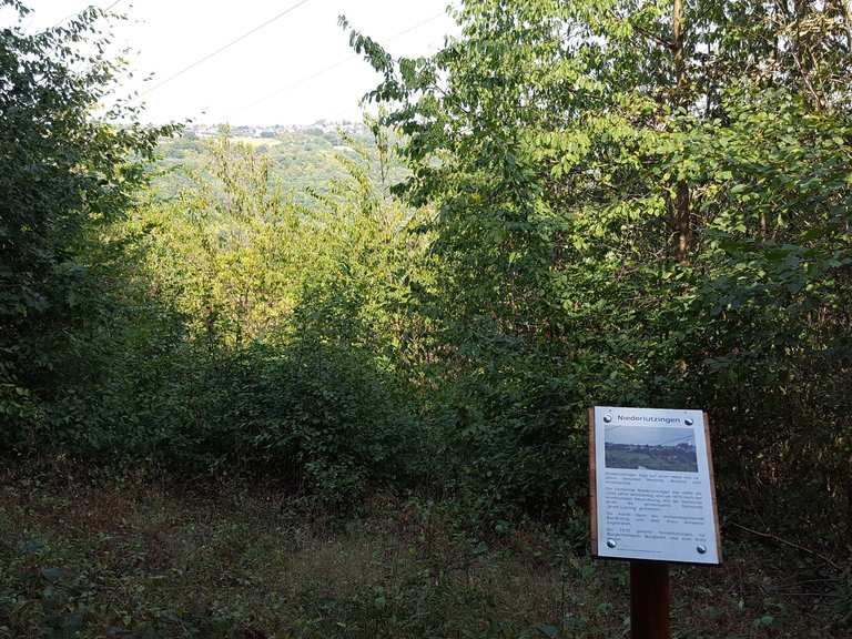 Bank mit Aussicht auf Niederlützingen - Andernach, Mayen ...