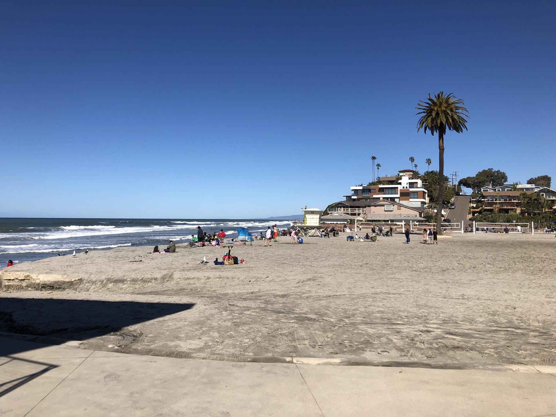 Sunny beach with many people, buildings, and a tall palm tree.