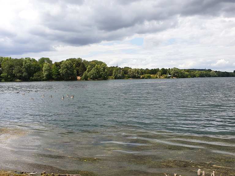 Uettelsheimer See ("Uetti") Radtouren und Radwege komoot