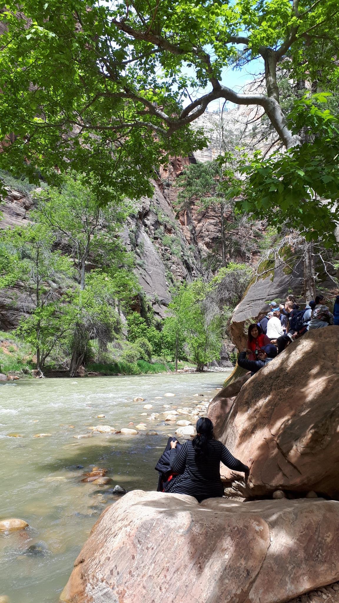 People resting by a flowing river under green trees and canyon walls.