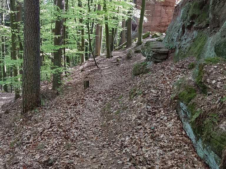 fahrrad bundenthal