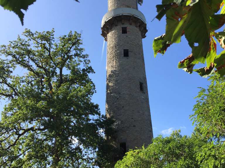 Buchberggrill Routes for Walking and Hiking | Komoot