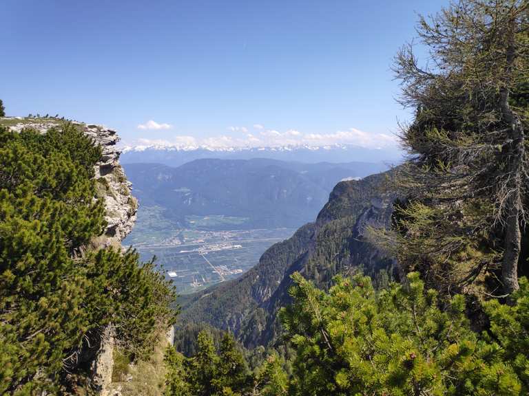 Monte Roen (2.116 Meter) - Mountain Bike Trails & Tracks | Komoot