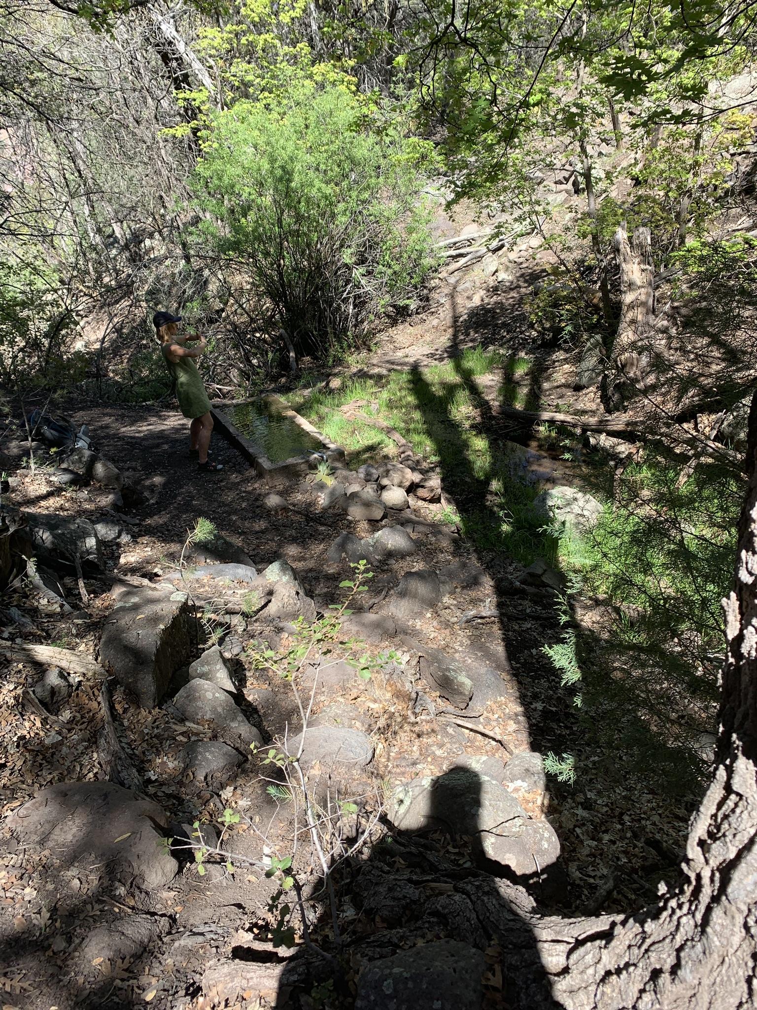 Shaded, rocky dirt path through a forest with a person's shadow.