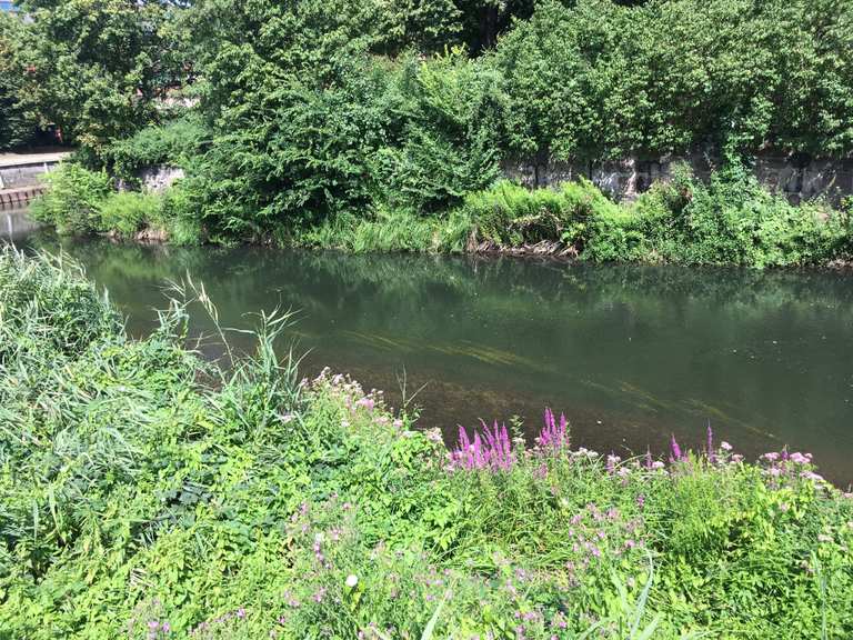 Ilmenau Fluss durch Lüneburg Routes for