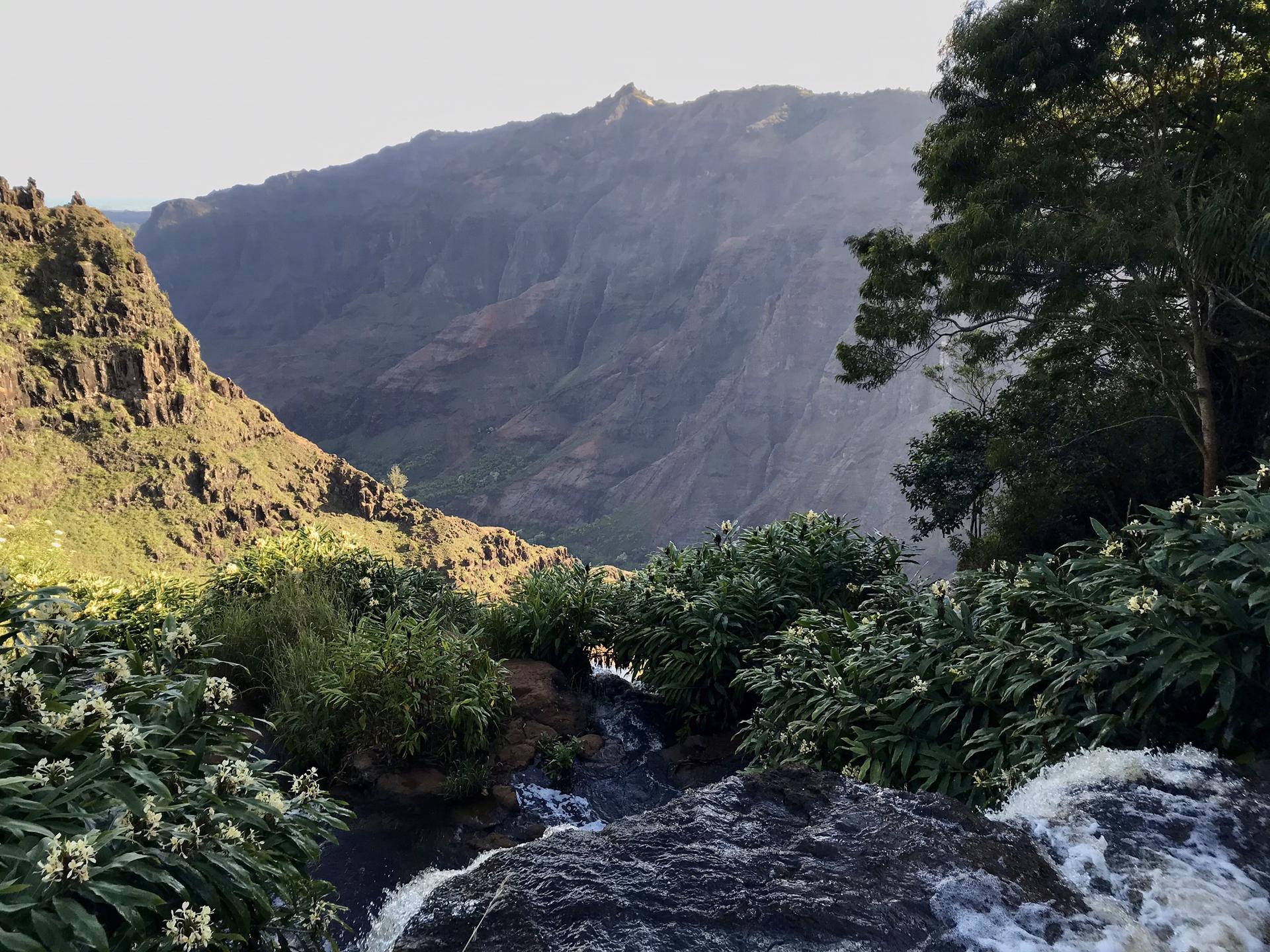 Golden hour light on a waterfall cascading into a lush, deep canyon.