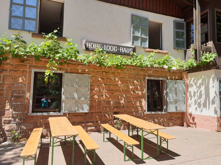Hohe Loog Haus MountainbikeTouren und Trails komoot