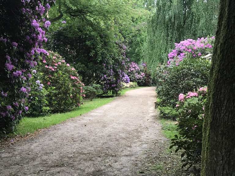 Rhododendron Park Hobbie  Hiking & Cycling Routes | Komoot