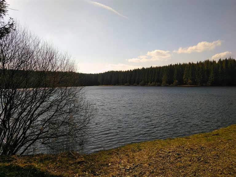 Oberer Hahnebalzer Teich percorsi e itinerari MTB Komoot