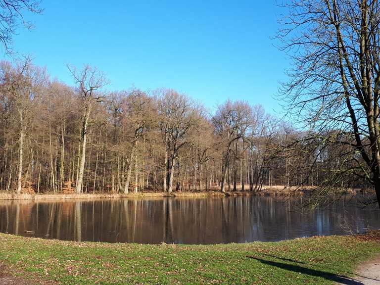 Langer Teich - Wellbrockquelle Loop from Weseler Straße ...