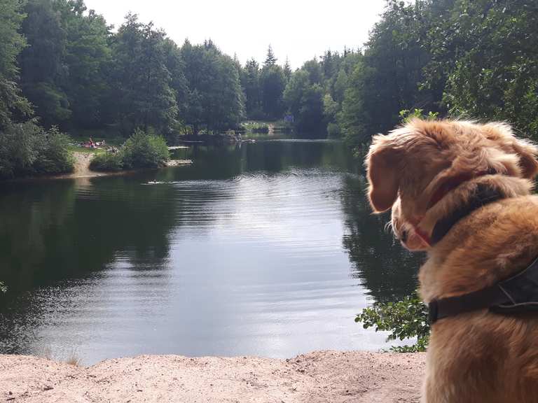 AjeSee, Neuer Steinbruch Eppertshausen, DarmstadtDieburg