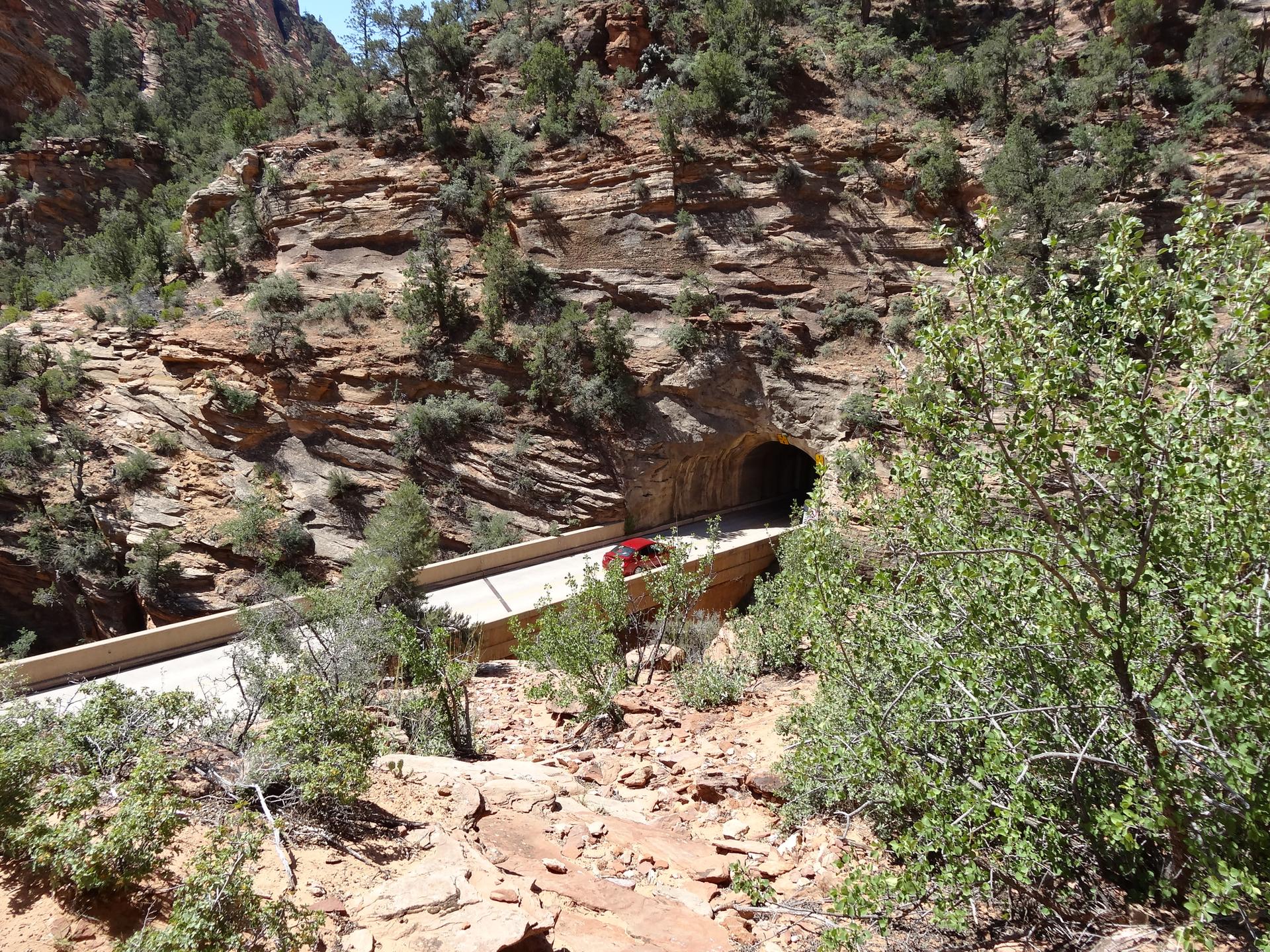 A road curves into a dark tunnel cut into a red rock cliff.