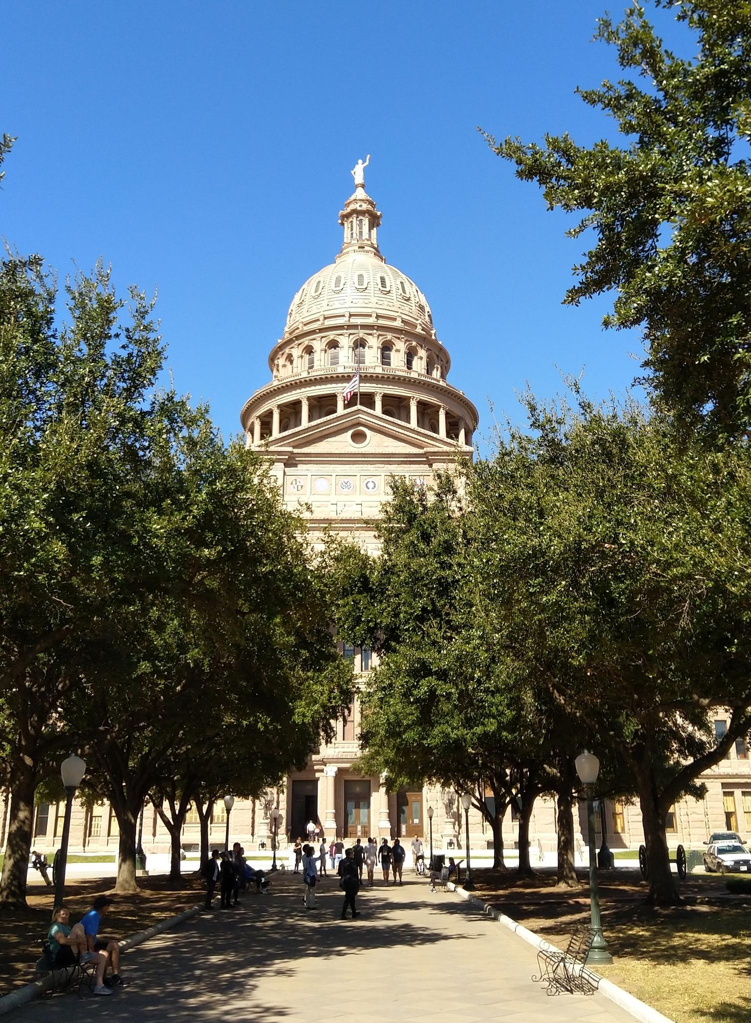 Sunny view of a grand domed building framed by green trees and people.