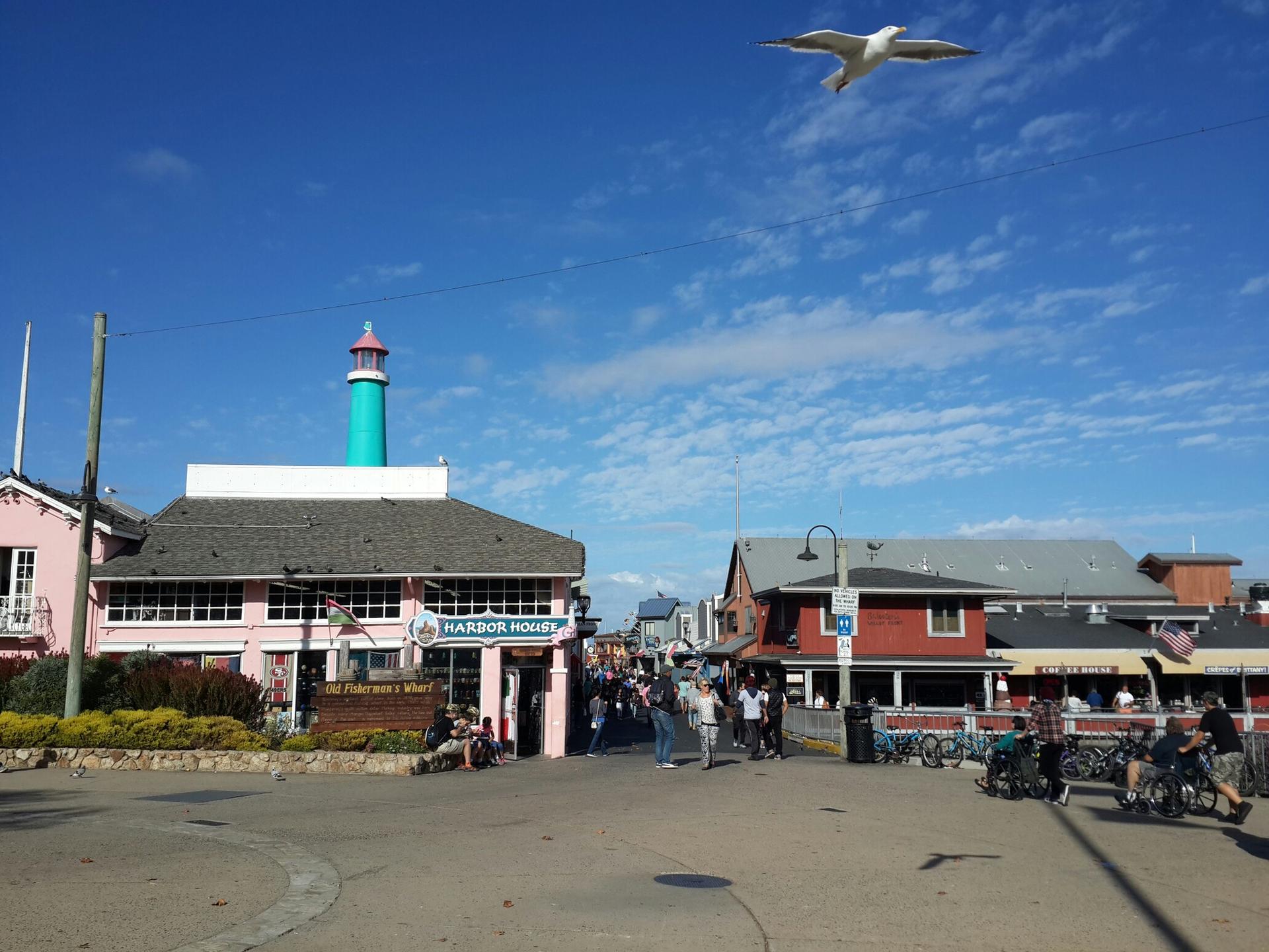 Harbor buildings under a bright blue sky with a seagull flying overhead.