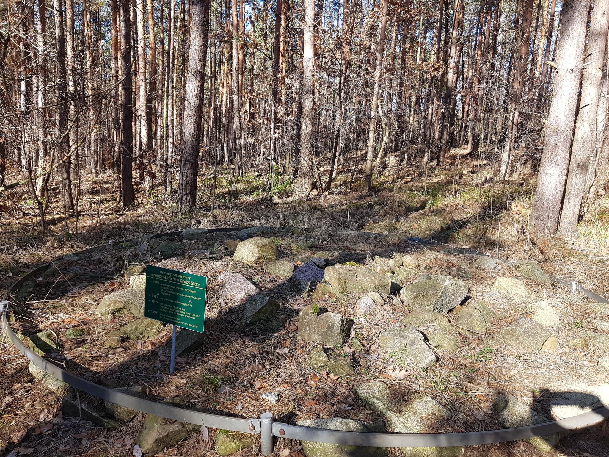 Spitzgrundteich – Seerosenteich Runde Von Coswig (b Dresden ...