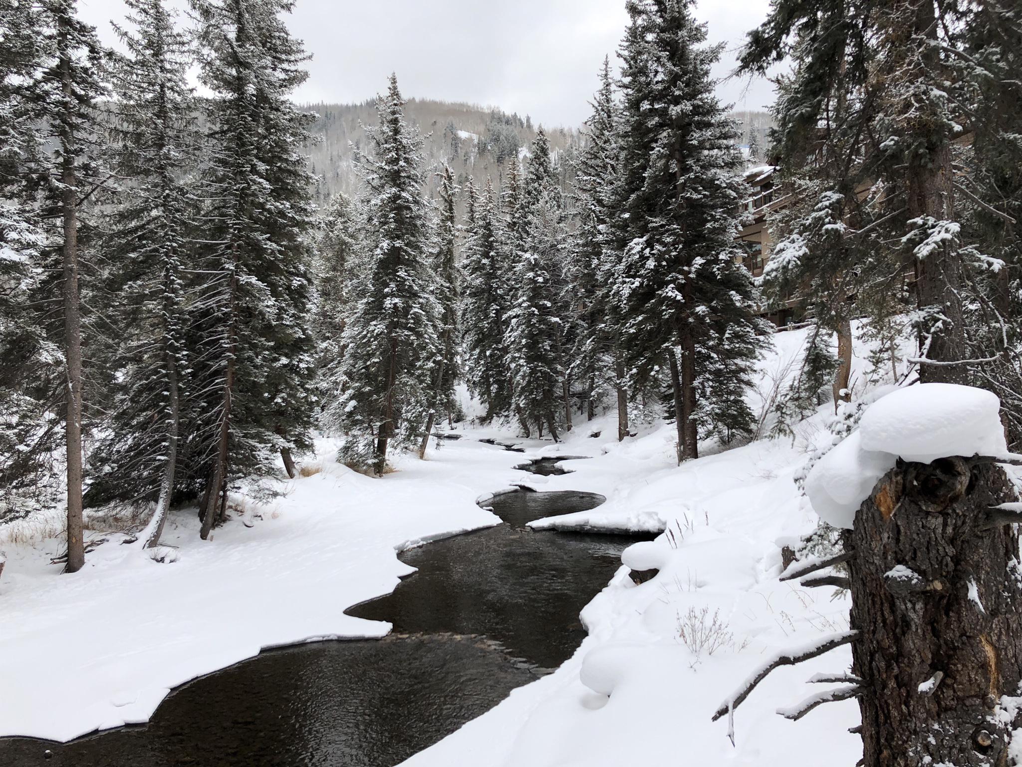 Dark river winding through a snow-covered evergreen forest on an overcast day.